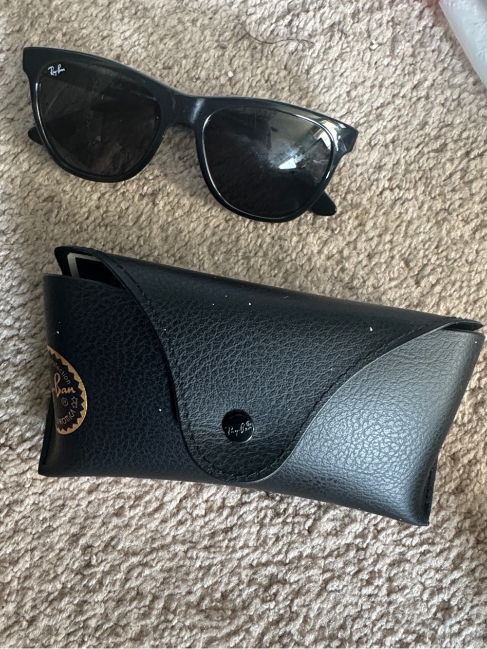 Ray-Ban Black Cat Eye Sunglasses with Black Case